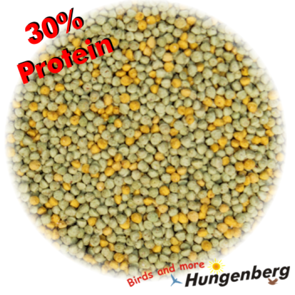 Hungenberg - Extro PRO 30 green-yellow - Πράσινη πέρλα - 1kg-χύμα